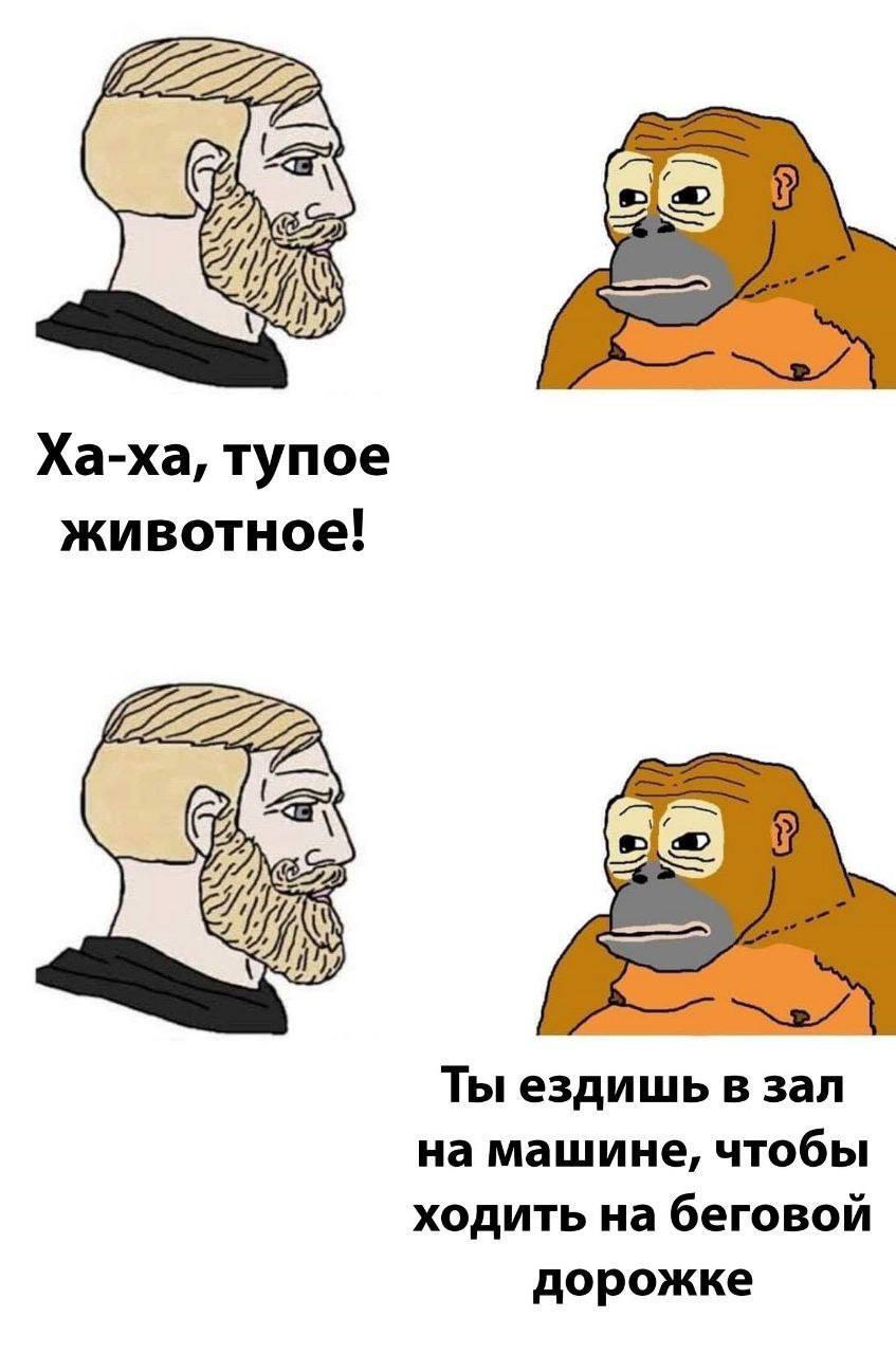 Ха-ха, тупое животное! Ты ездишь в зал на машине, чтобы ходить на беговой дорожке