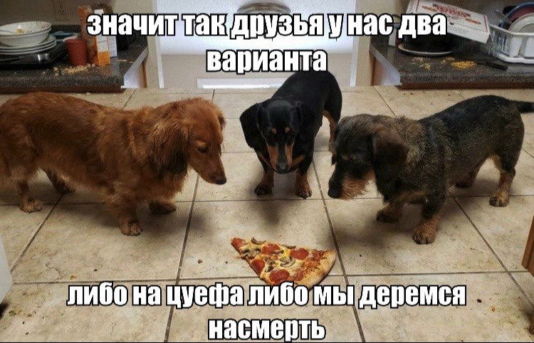 значит Tak нас Два варианта либо на либо мы деремся i