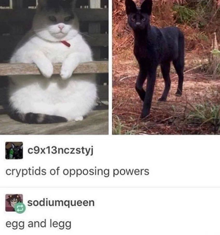 c9x13nczstyj cryptids of opposing powers sodiumqueen egg and legg