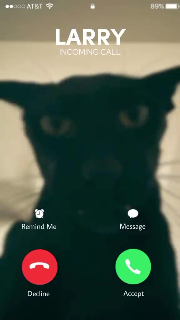 | Remind Ме Message Decline Accept