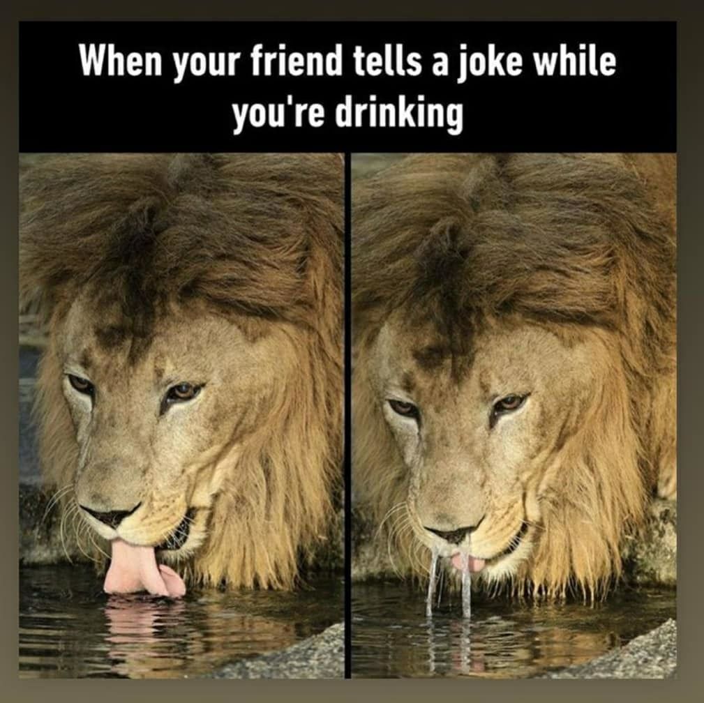 When your friend tells a joke while you're drinking 4