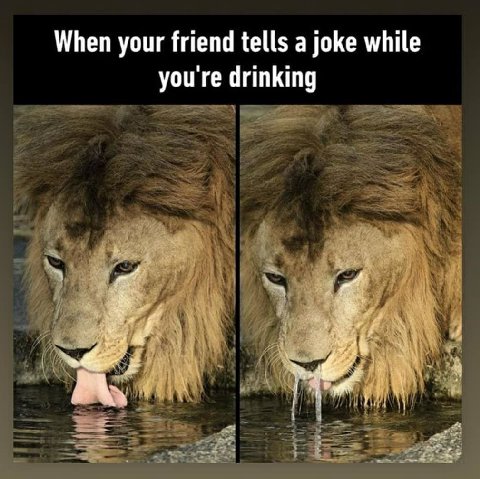 When your friend tells a joke while you're drinking 4