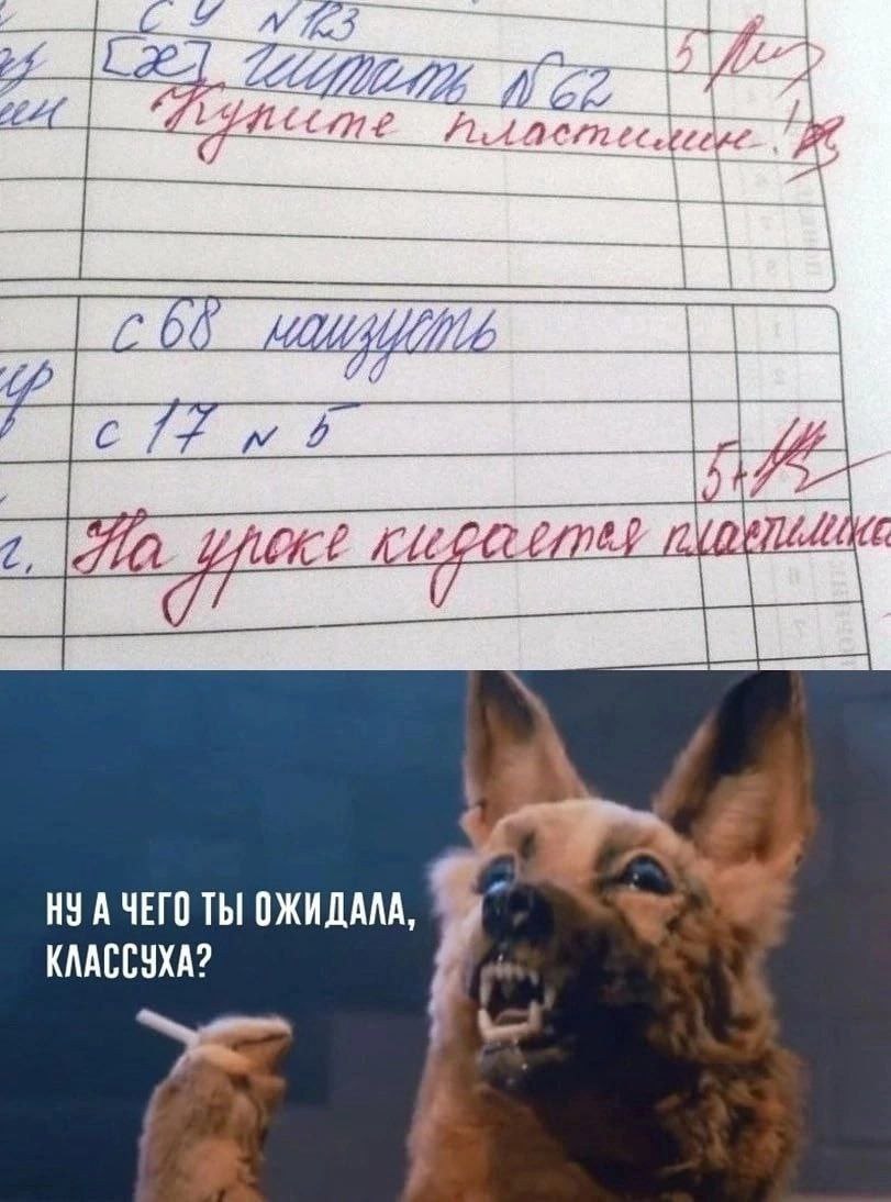 3 if 74} НУ А ЧЕГО ТЫ ОЖИДАЛА КЛАССУХА?
