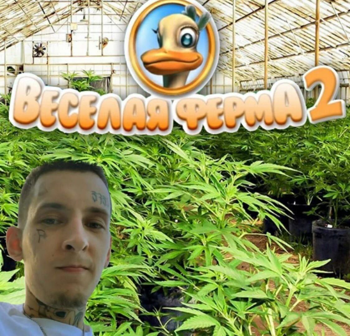 7 a aViern OF у В: i