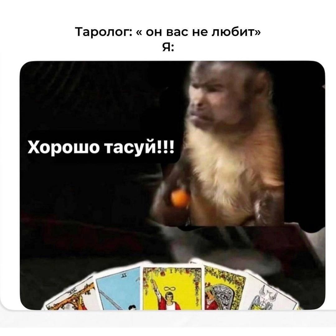 Таролог: он вас не любит» A Хорошо тасуй Sat, iN