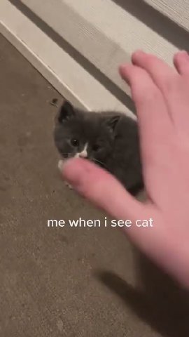 мем