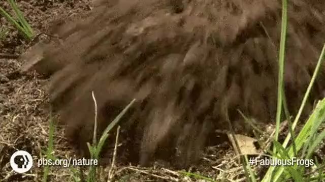 OF: pis.oray ature ы р \yraniiasero0s