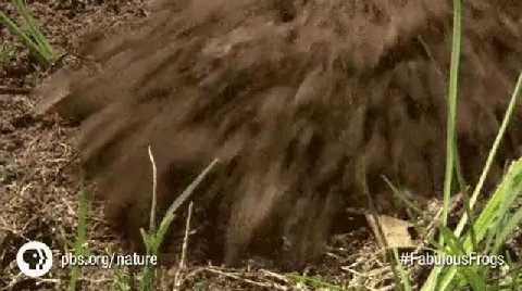 OF: pis.oray ature ы р \yraniiasero0s
