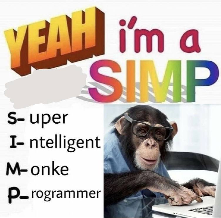 a ирег I- ntelligent M-onke rogrammer
