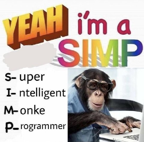a ирег I- ntelligent M-onke rogrammer