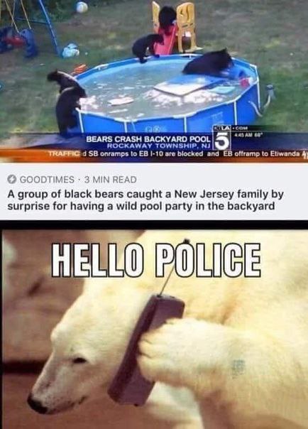 4 ant come onramps to |-10 эго biocked and offramp to Etiwanda 4) GOODTIMES 3 MIN READ A group of black bears caught a New Jersey family surprise for having a wild pool party in the backyard у.