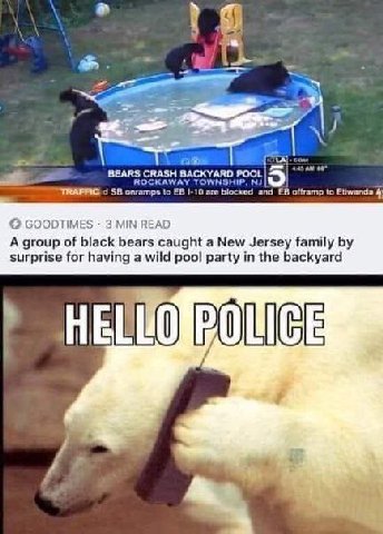 4 ant come onramps to |-10 эго biocked and offramp to Etiwanda 4) GOODTIMES 3 MIN READ A group of black bears caught a New Jersey family surprise for having a wild pool party in the backyard у.