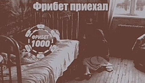 Фрибет приехал 6; 1000