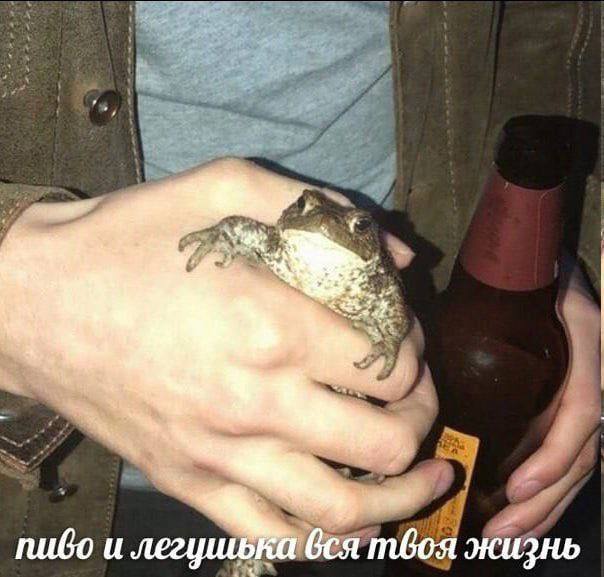 nuGo жизнь