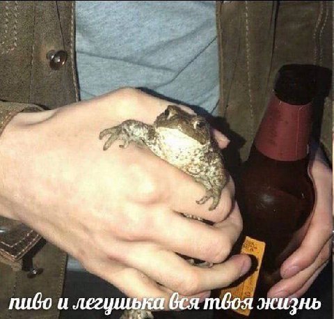 nuGo жизнь