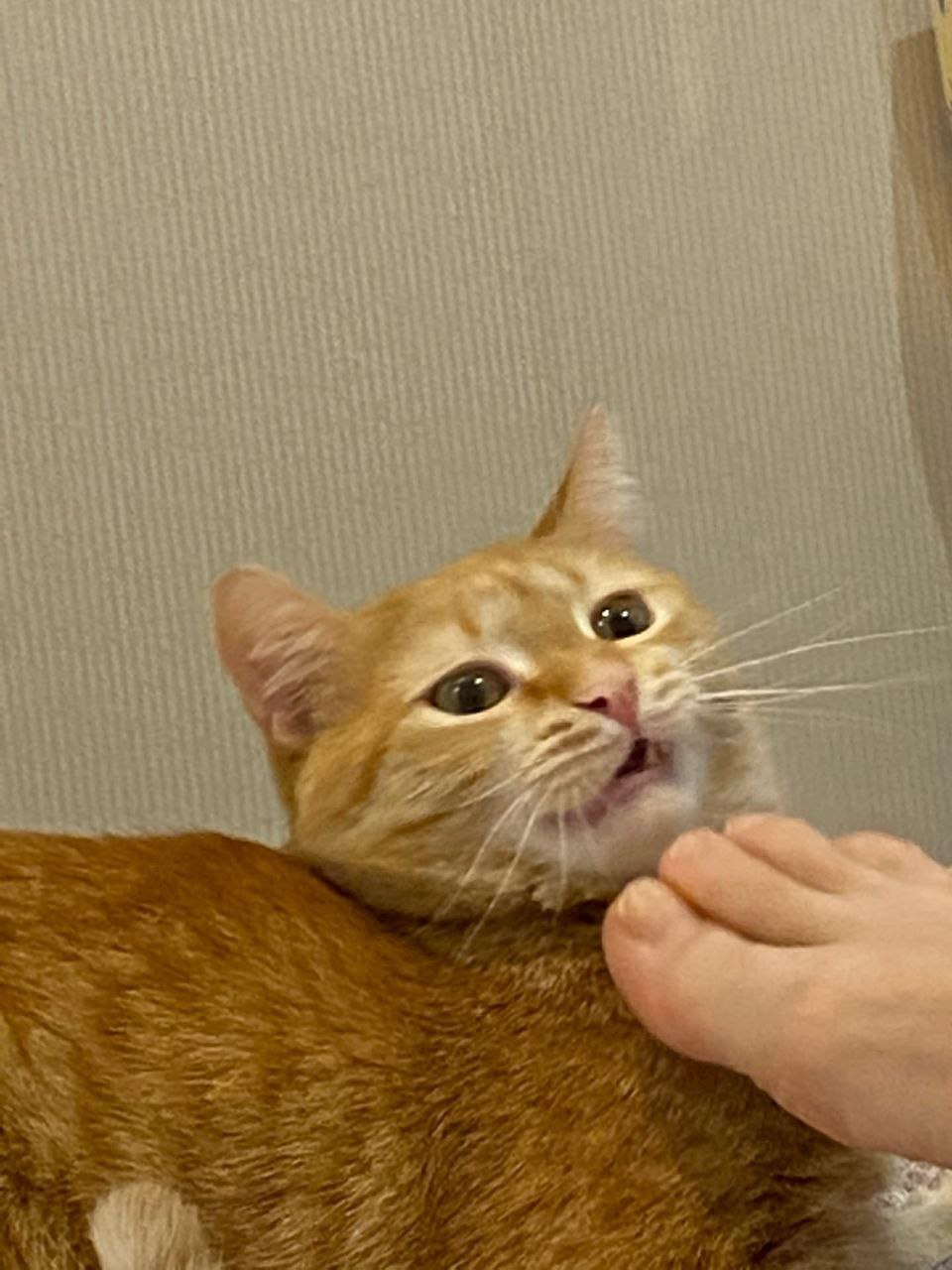 и