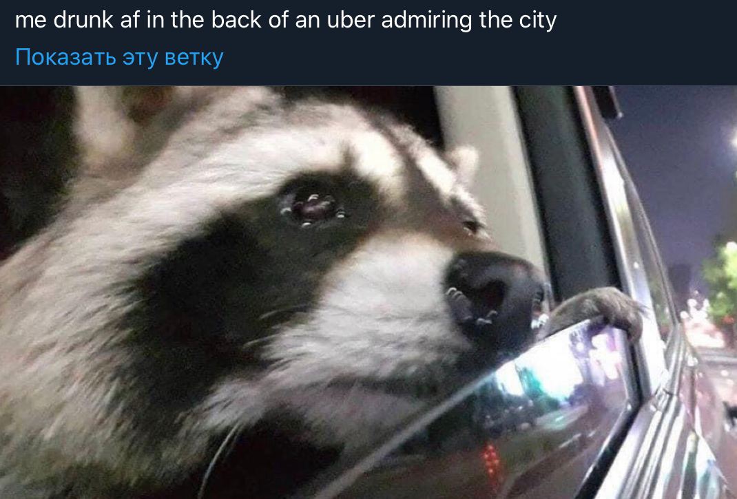 me drunk in the back of an uber admiring the city Показать эту ветку a