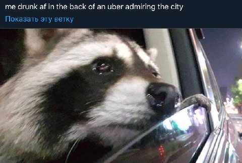 me drunk in the back of an uber admiring the city Показать эту ветку a