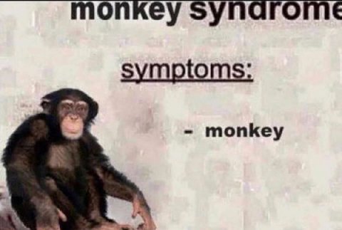monkey synarome symptoms: monkey