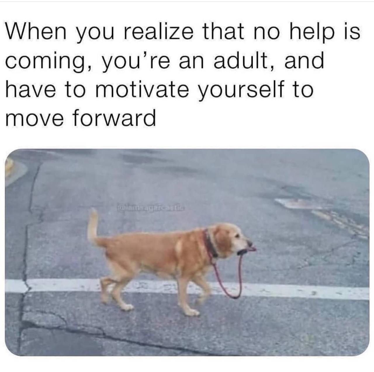 When you realize that по help is coming, you’re an adult, and have to motivate yourself to move forward