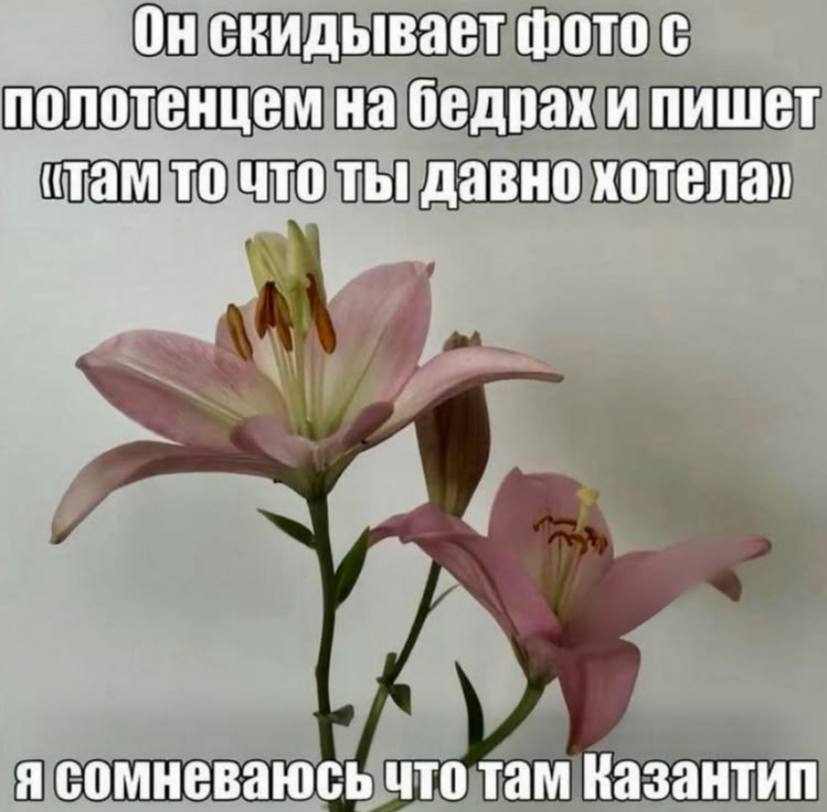 Он скидывает фото с полотенцем на бедрах и пишет (Там то что ты! давно хотела, я сомневаюсь что там Казантип