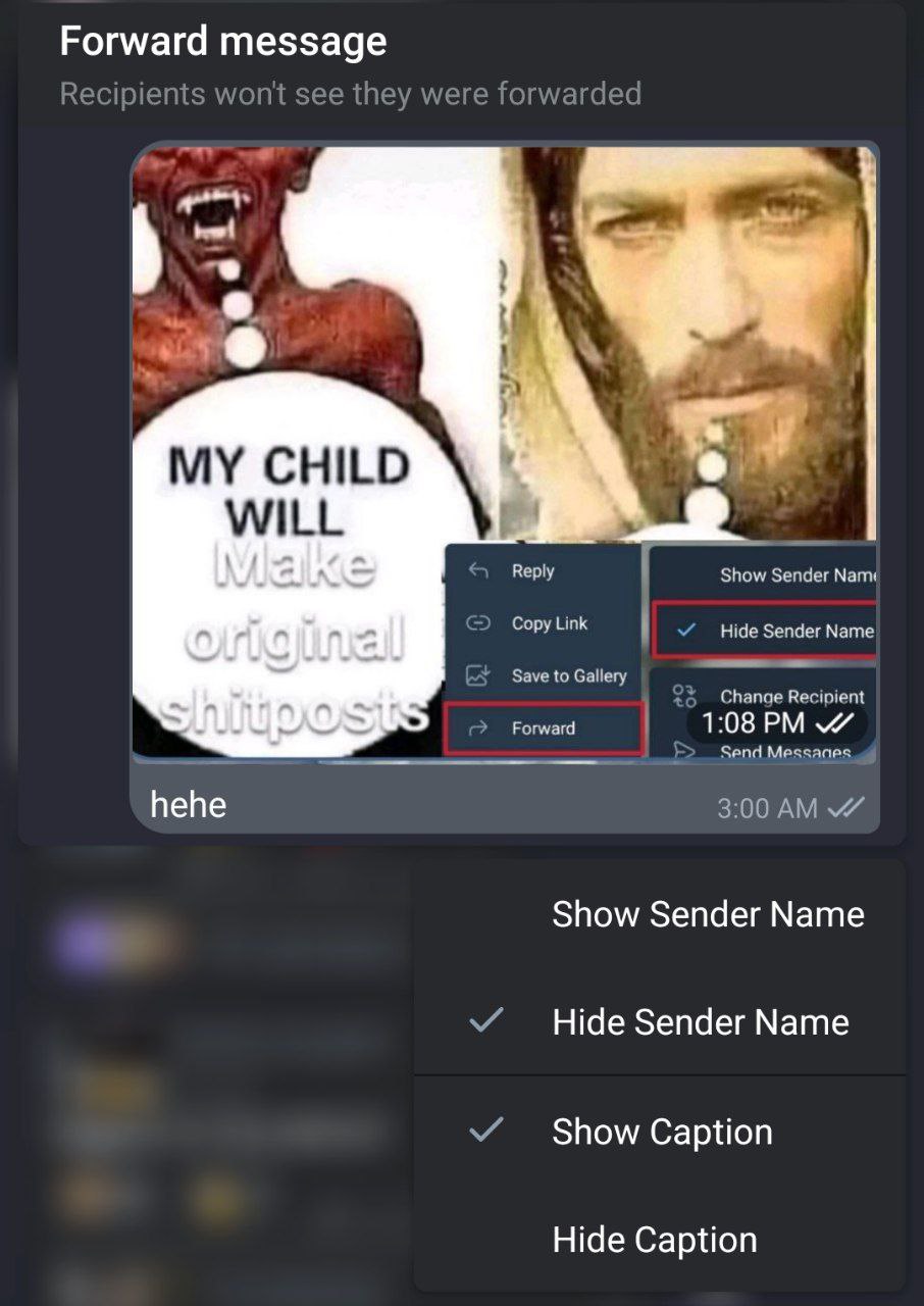message я MY CHILD WILL Reply Show Sender Copy Link Sender Name Save to Gallery Change Recipient Forward 1:08 Send hehe 3:00 Show Sender Мате Hide Sender Name Show Caption Hide Caption