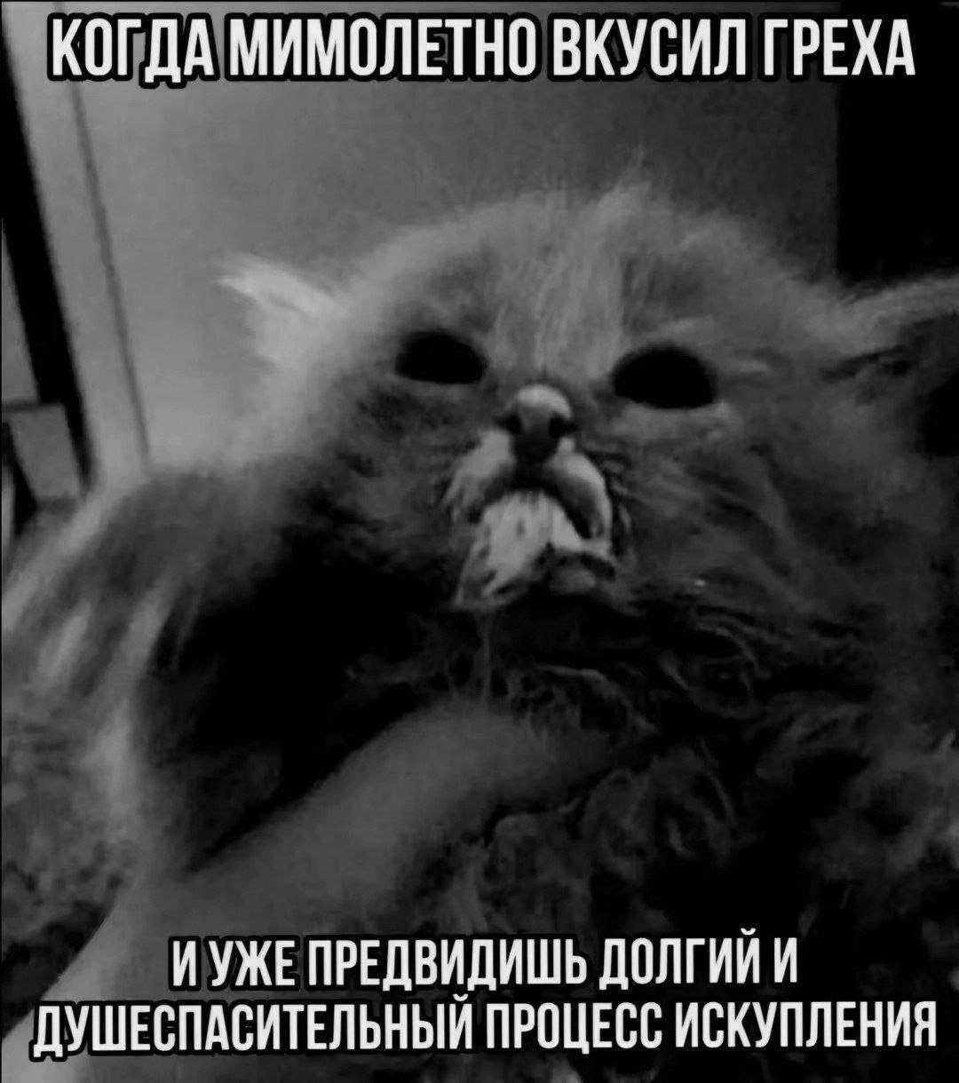 КОГДА МИМОЛЕТНО ВКУСИЛ ГРЕХА ИУЖЕ ПРЕДВИДИШЬ ДОЛГИЙ И ДУШЕСПАСИТЕЛЬНЫЙ ПРОЦЕСС ИСКУПЛЕНИЯ