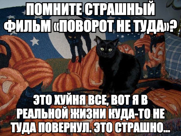 ПОМНИТЕ СТРАШНЫЙ ФИЛЬМ «ПОВОРОТ НЕ ЭТО ХУЙНЯ BCE, ВОТЯ В РЕАЛЬНОЙ ЖИЗНИ КУДА-ТО НЕ ТУДА ПОВЕРНУЛ. ЭТО СТРАШНО...