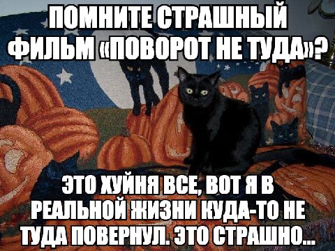 ПОМНИТЕ СТРАШНЫЙ ФИЛЬМ «ПОВОРОТ НЕ ЭТО ХУЙНЯ BCE, ВОТЯ В РЕАЛЬНОЙ ЖИЗНИ КУДА-ТО НЕ ТУДА ПОВЕРНУЛ. ЭТО СТРАШНО...