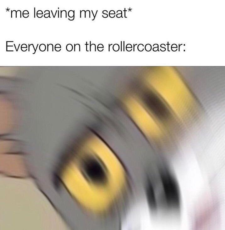 *me leaving my Everyone on the rollercoaster: