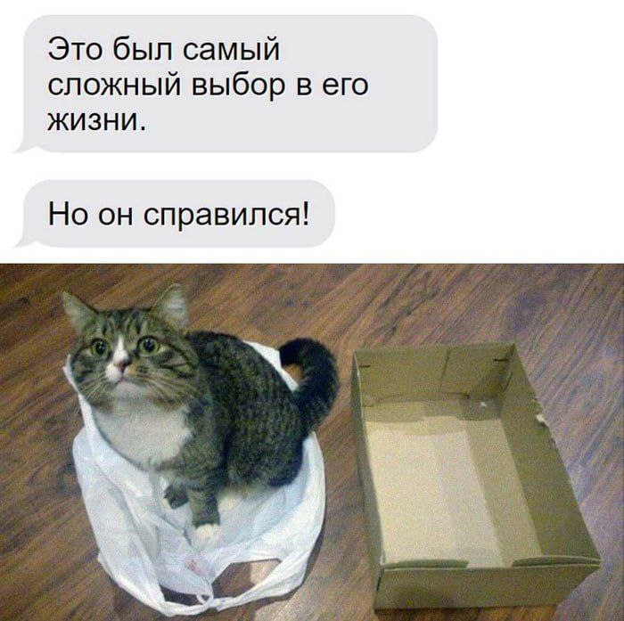 Это был самый сложный выбор в его ЖИЗНИ. Но он справился!