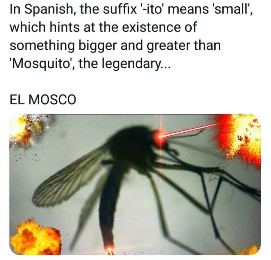 In Spanish, the suffix '-ito' means ‘small’, which hints at the existence of something bigger and greater than ‘Mosquito, the legendary... MOSCO