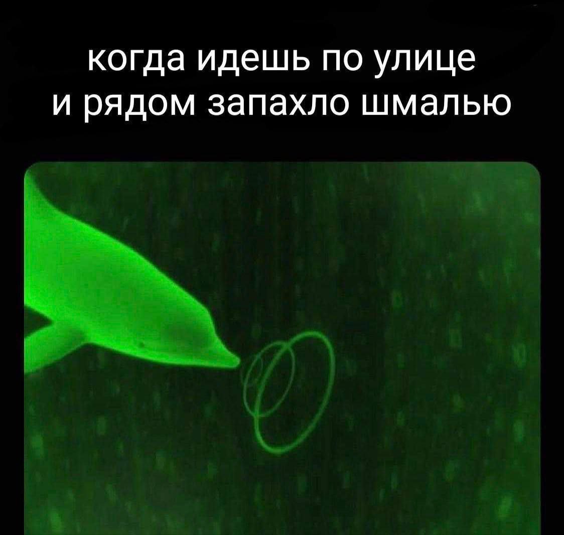 когда идешь по улице и рядом запахло шмалью