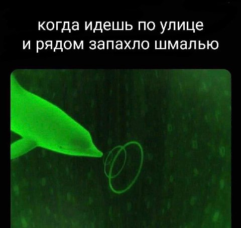 когда идешь по улице и рядом запахло шмалью