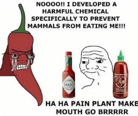 NOOOO!! I DEVELOPED А HARMFUL CHEMICAL SPECIFICALLY TO PREVENT MAMMALS FROM EATING ME!!! АВА НА НА PAIN PLANT MAKE MOUTH BRRRRR