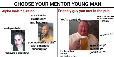 CHOOSE YOUR MENTOR YOUNG MAN Alpha male™ e-celeb Friendly guy you met in the pub success is Me and the lads see exotic cars You're all the work you're andh putting in wash your balls we're proud you t