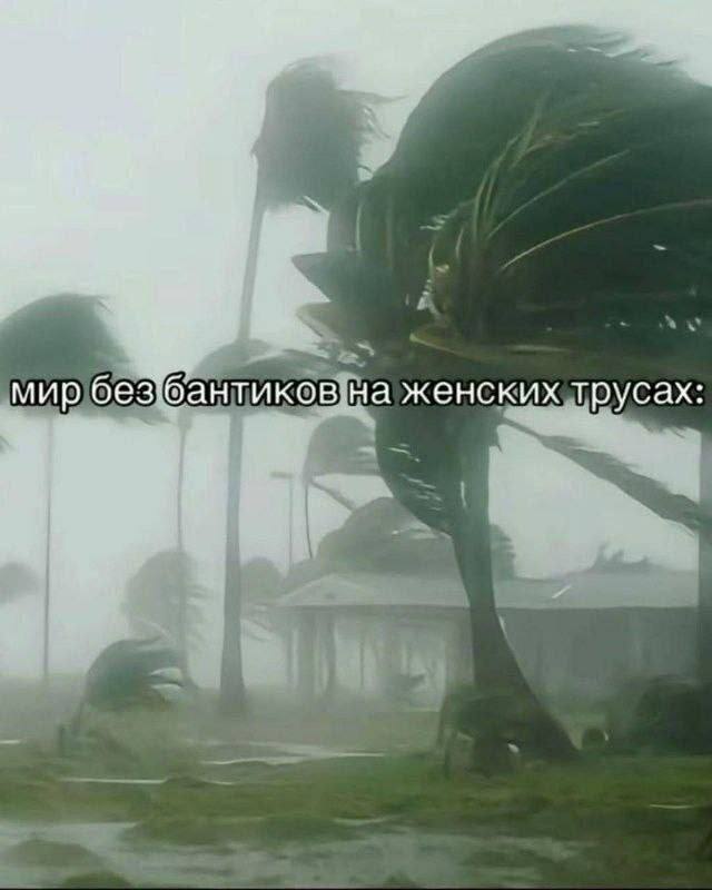Без бабочки на попе 🤧