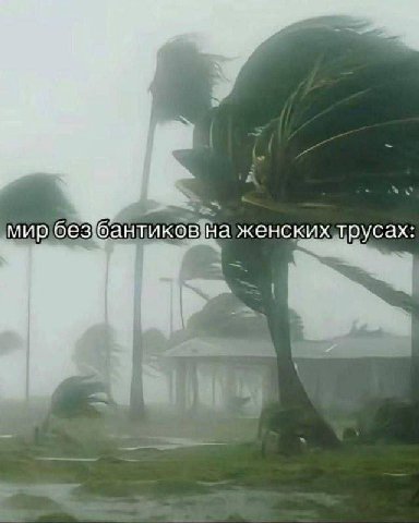 Без бабочки на попе 🤧