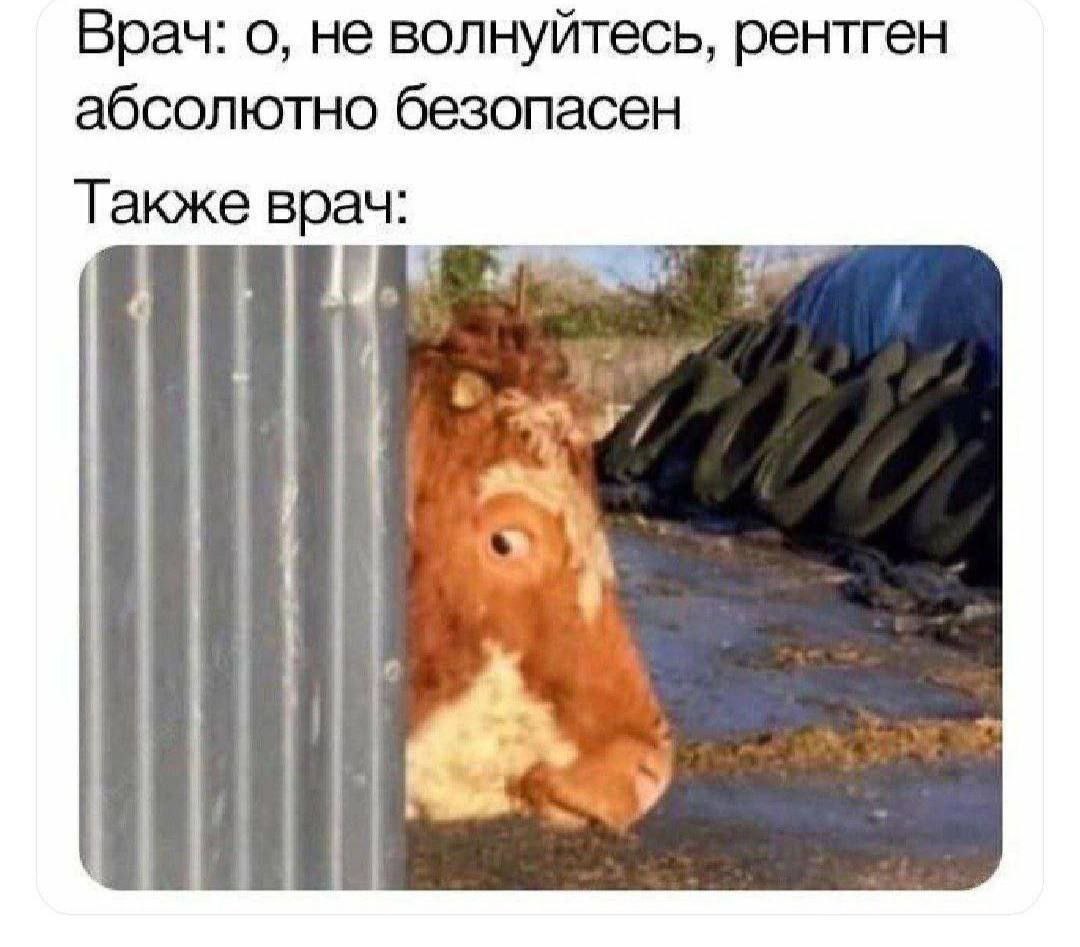 Врач: о, не волнуйтесь, рентген абсолютно безопасен Также врач: