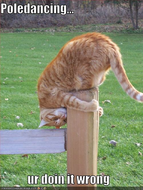 Poledancing...