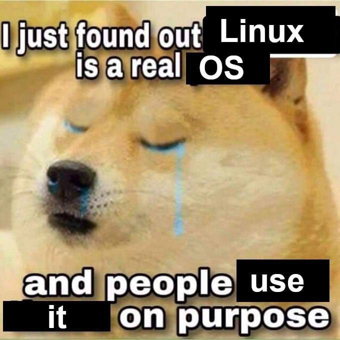 just found out Linux 15 агеа| people use it on purpose