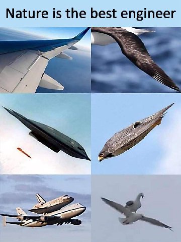 Nature is the best engineer