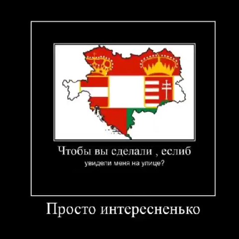 Чтобы вы сделали , еслиб увидели меня на улице? Просто интересненько Я бы въебал тебе с вертухи