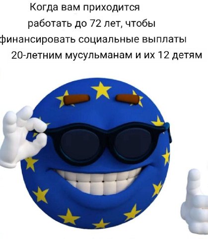 Когда вам приходится работать до 72 лет, чтобы финансировать социальные выплаты 20-летним мусульманам и 12 детям