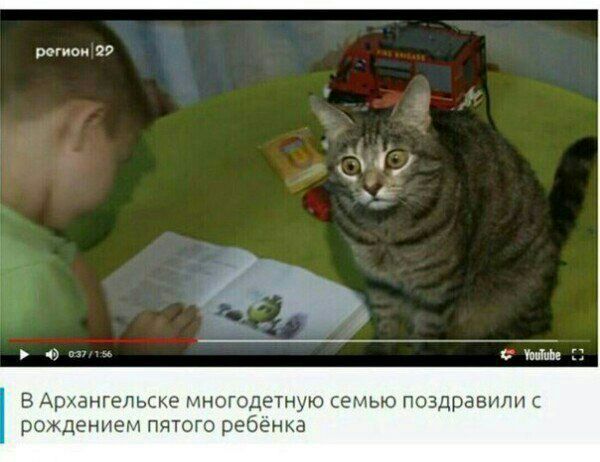 рогион 22 В Архангельске многодетную семью поздравили с рождением пятого ребёнка