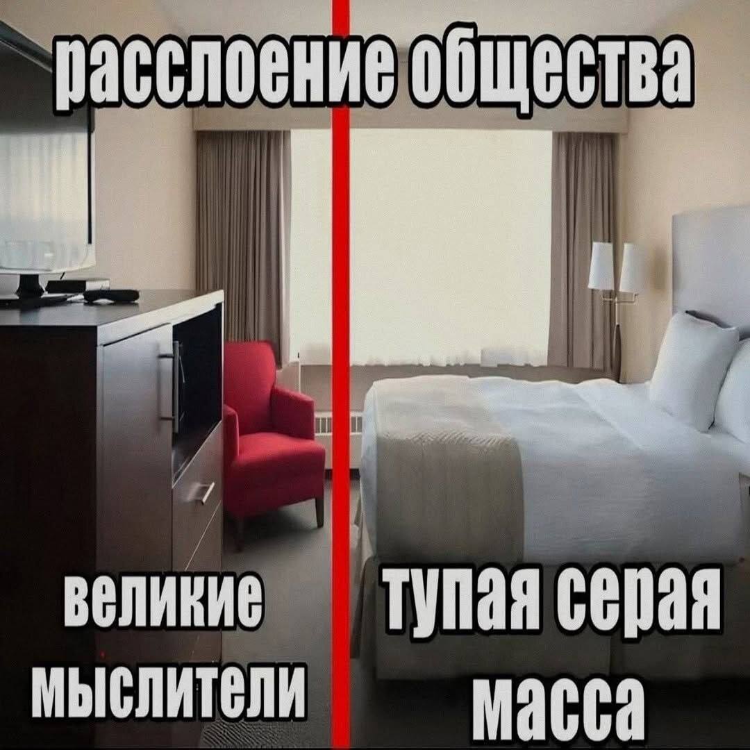 расслоение общества