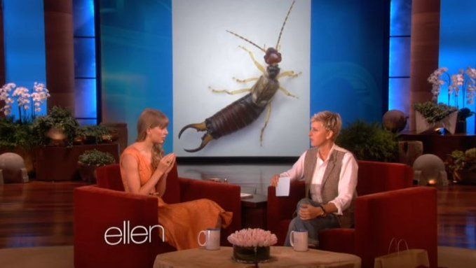 ellen