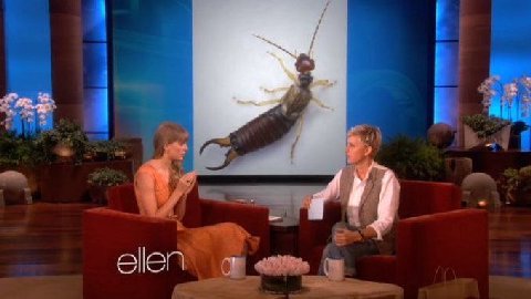 ellen