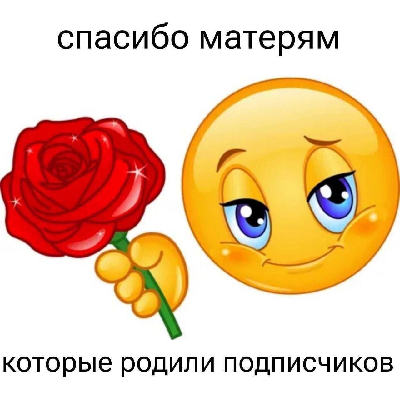 спасибо матерям которые родили подписчиков