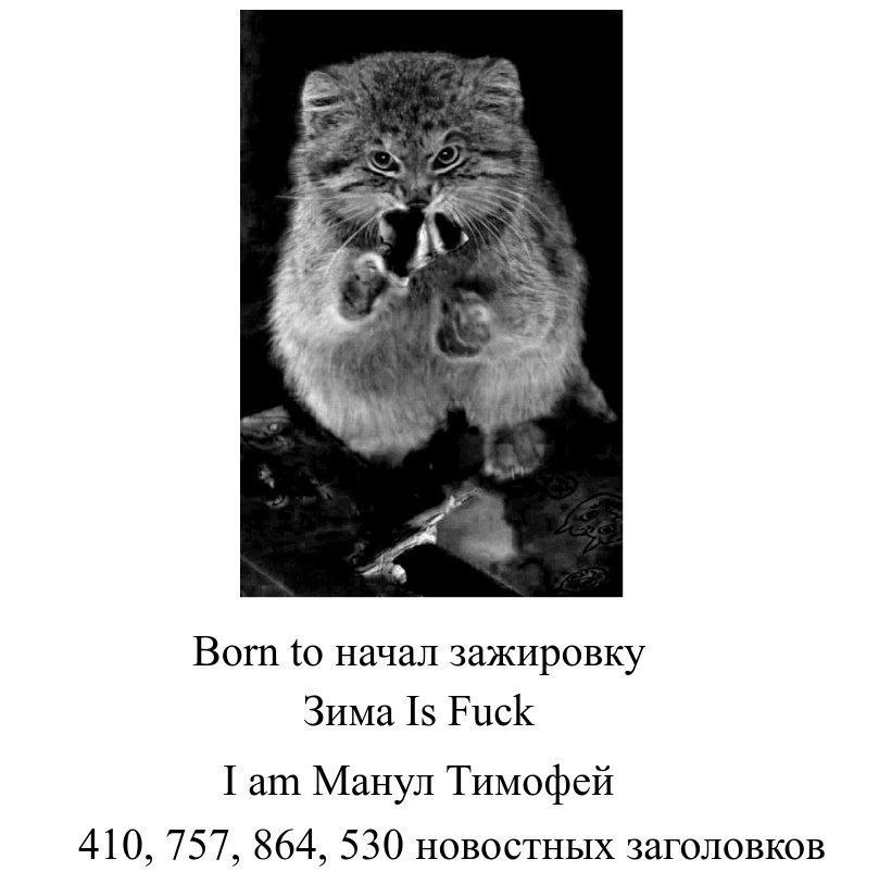 Born to начал зажировку Зима Is Fuck Гат Манул Тимофей 410, 757, 864, 530 новостных заголовков